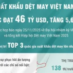 xuat khau det may viet nam nam 2025 uoc dat 46 ty usd tang 56 2
