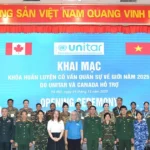 0112 gin giu hoa binh