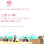 1712 thuong truc ban bi thu tiep xuc cu tri lao cai 1