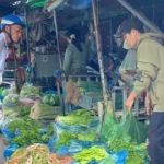 2412 rau xanh an giang