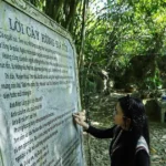 doi thong hai mo