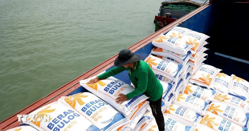 Giá gạo xuất khẩu giảm nhẹ, doanh nghiệp theo sát động thái từ các nhà nhập khẩu 1 gao xuat khau 0203
