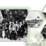 infographics bai viet cua tong bi thu ve quan doi 1 7108