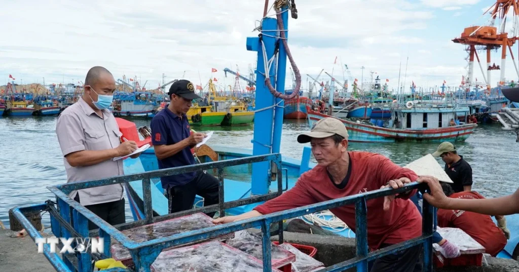 Mở ra giai đoạn phát triển bền vững và hiện đại hơn 1 iuu3