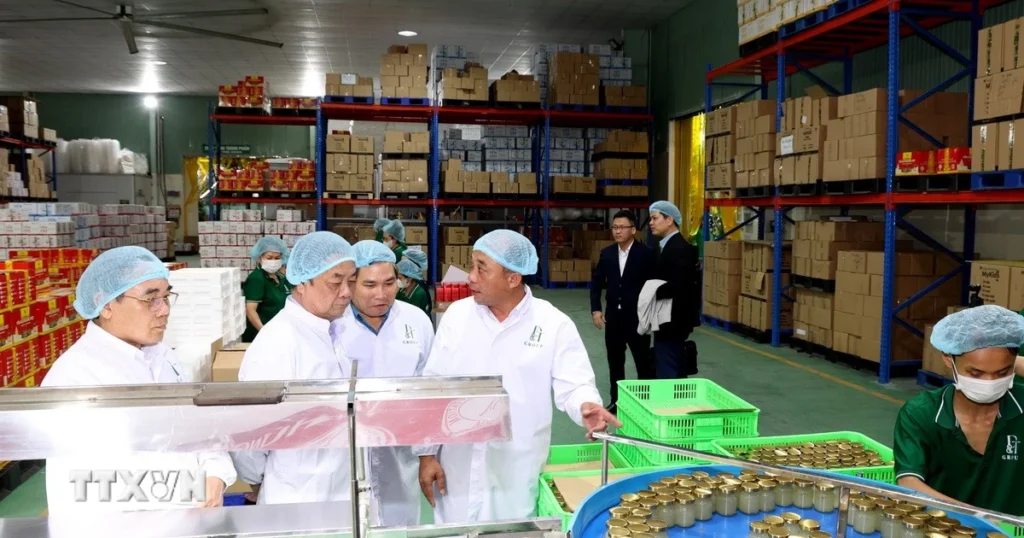 Khánh Hòa quy hoạch vùng nguyên liệu rong biển theo hướng bền vững 1 khanh hoa rong bien