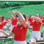 le hoi tra quoc te 2025 tai lam dong 2