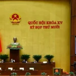 luat chuyen doi so