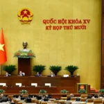 luat dau tu