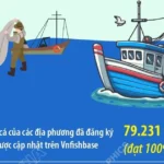 thu tuong pham minh chinh bi thu cap uy chu tich ubnd phai chiu trach nhiem 17 2