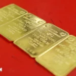 vang mieng sjc 5300 1