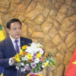 vn brazil 1