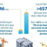 vna potal nam 2025 nha o xa hoi