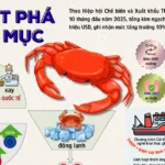 xuat khau ghe viet nam