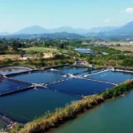 1001 quang ninh