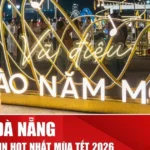 2026 01 01 dong chay le hoi chao nam moi da nang 2026 thumb