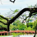 2111 thu ha noi 2