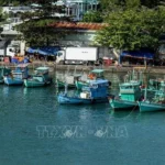 an thoi 040126 1