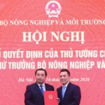 bo nhiem