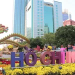 duong hoa nguyen hue 9626
