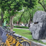 giao thong xanh 8237889