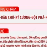 img 3030 1