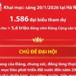 info dai hoi avatar