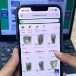 kiem soat chat luong