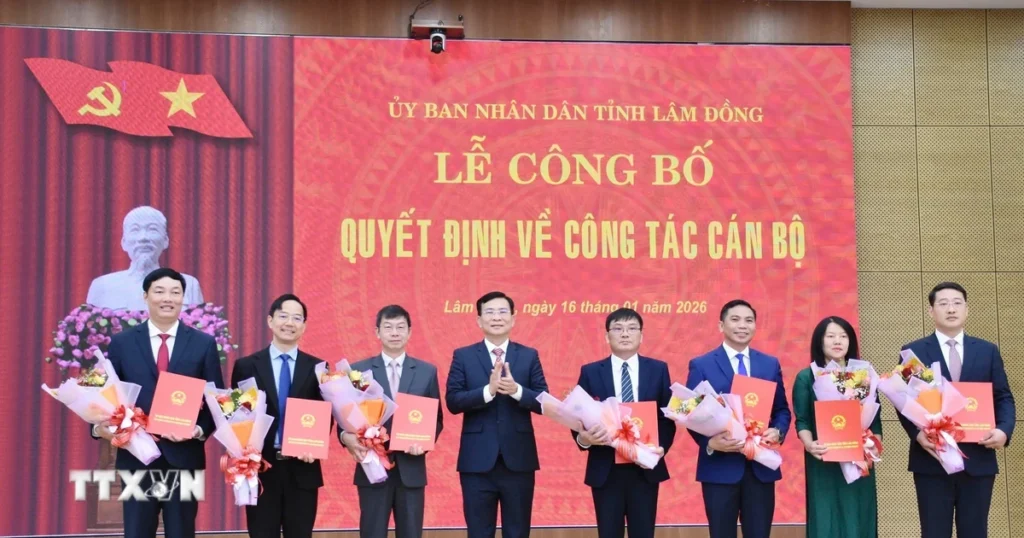 lam dong dieu dong bo nhiem 7 vi tri lanh dao cap so nganh 8534329