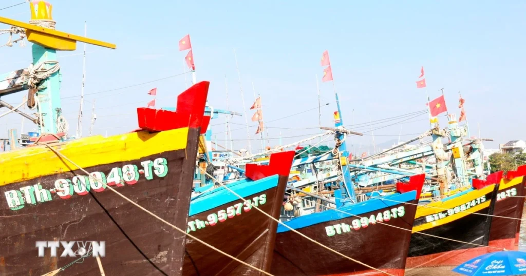 lam dong iuu 2