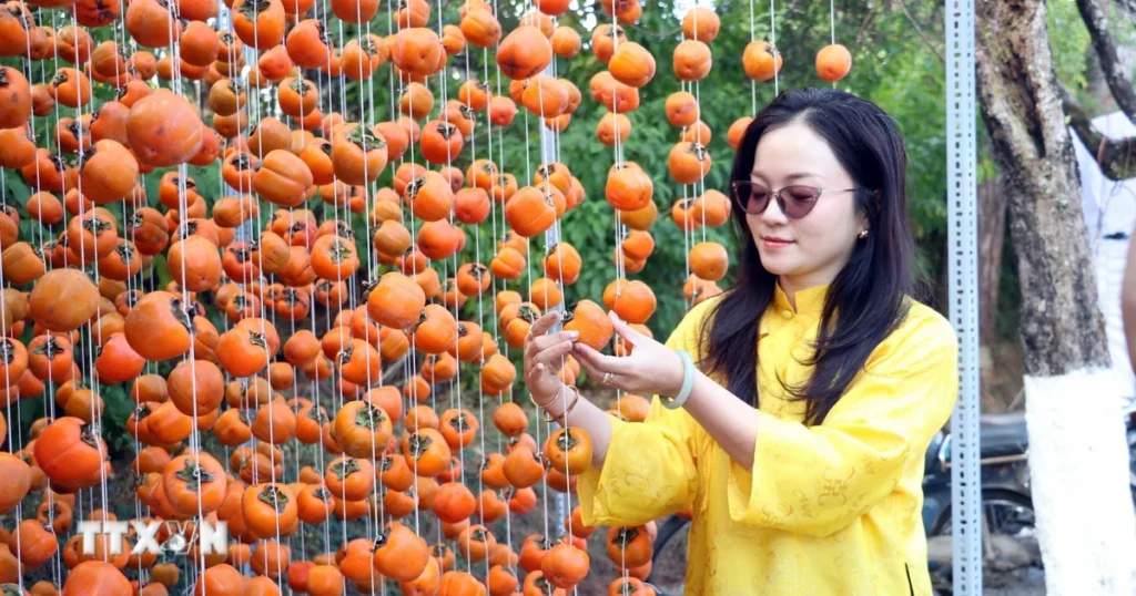 Khai mạc Chương trình Hoa mai anh đào chắp cánh thương hiệu Đà Lạt 1 mai anh dao 1