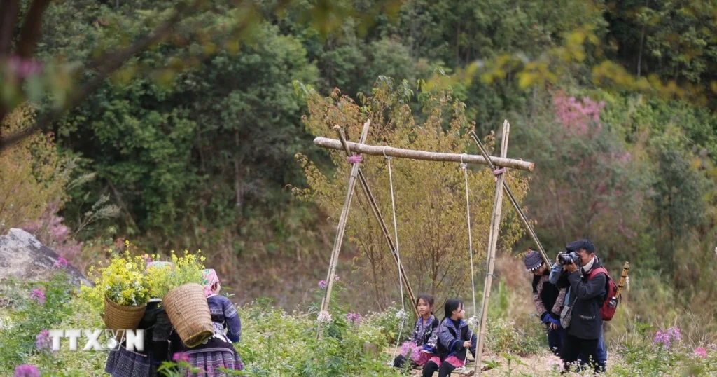 Khai mạc Festival Khèn Mông-Lễ hội hoa Tớ Dày năm 2026 1 mu cang chai resize