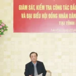 pho chu tich quoc hoi le minh hoan lam viec tai tinh lao cai ve cong tac bau cu 1