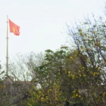 ruc ro sac mai vang truoc dai noi hue 28 1