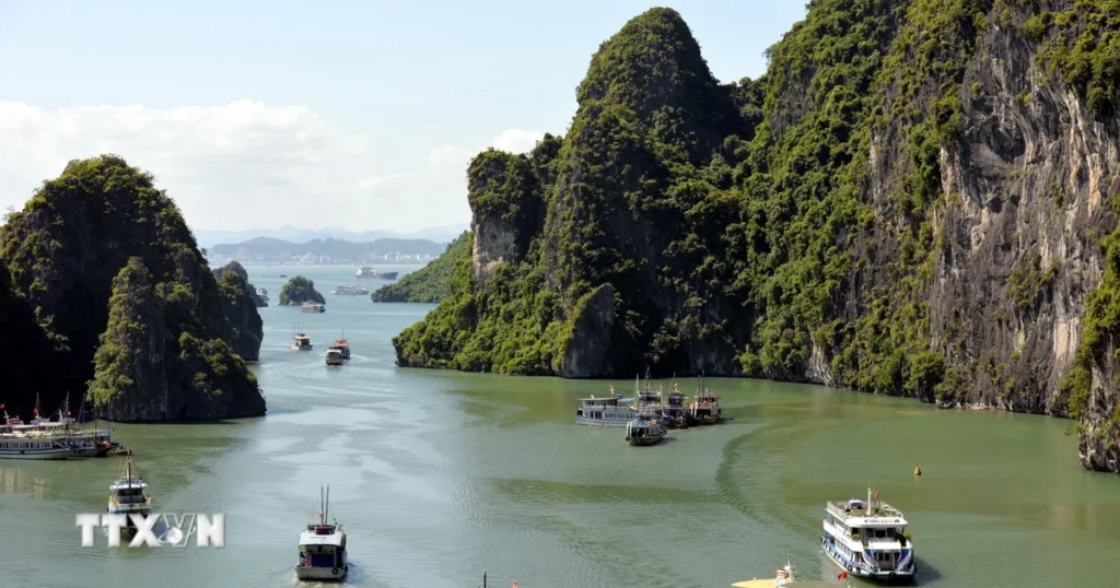 vinh ha long 6817