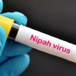 virus nipah 6818 1