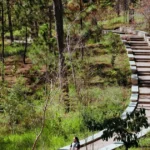 1302 dai hoc da lat 1