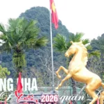 1402 phong nha