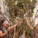 2026 02 13 hung son troi day vuot bong toi sat lo dong nang xuan giua dai ngan truong son thumb cms