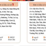 2702 bau cu quang tri 8874