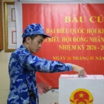 2702 bau cu som