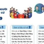 6 don vi bau cu cua tinh lam dong