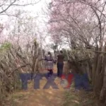 avatar of video 1578453