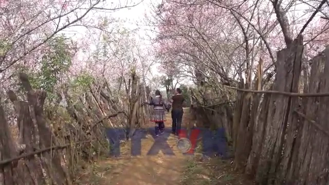 avatar of video 1578453