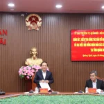 bau cu quang ngai 2