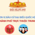 bau cu thanh pho truc thuoc trung uong 08