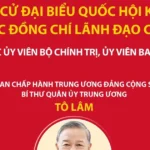 cac dong chi lanh dao cap cao ung cu dai bieu quoc hoi khoa xvi tai nhieu dia phuong tren ca nuoc 2