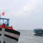 da nang tai co cau doi tau thuyen giam thieu phuong tien khai thac ven bo 2202 2
