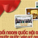 doi ngoai quoc hoi 3