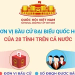 don vi bau cu o 28 tinh 08