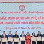gap go kieu bao 2